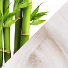 Bambu kuitu